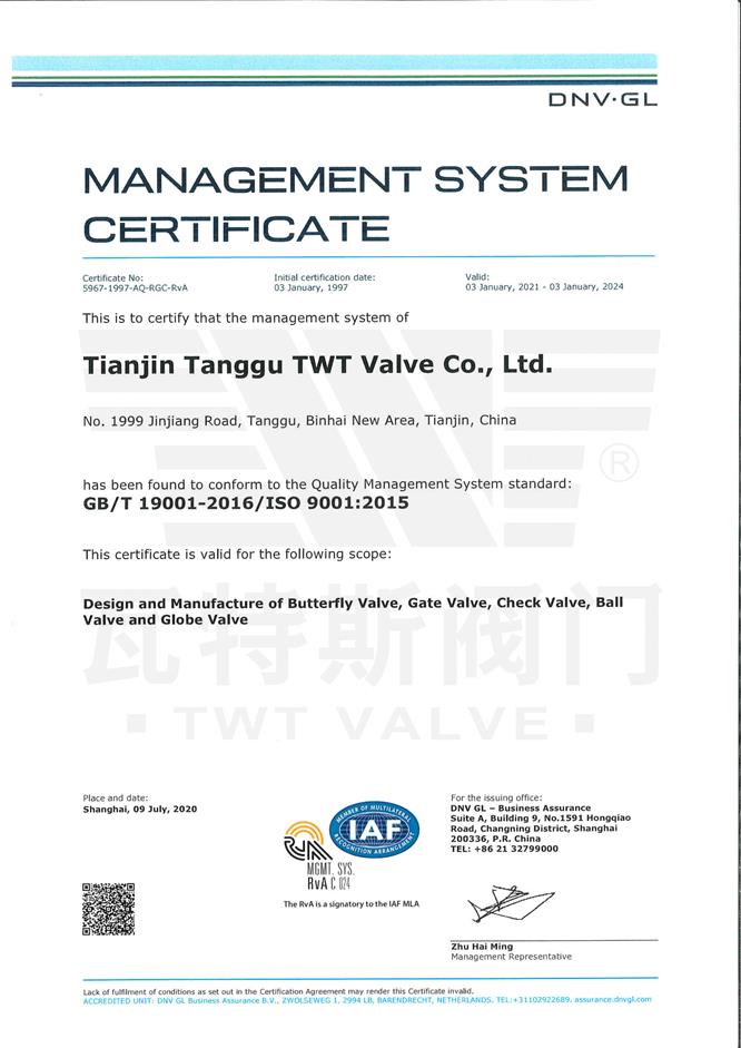 ISO-19001：2015質（zhì）量體係認證英文